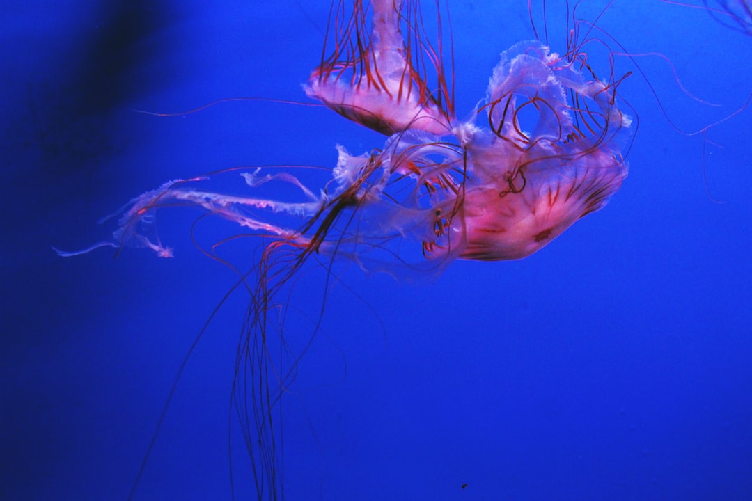 15 wichtige Fragen zu Wie Ändere Ich Den Ph-Wert Im Aquarium?