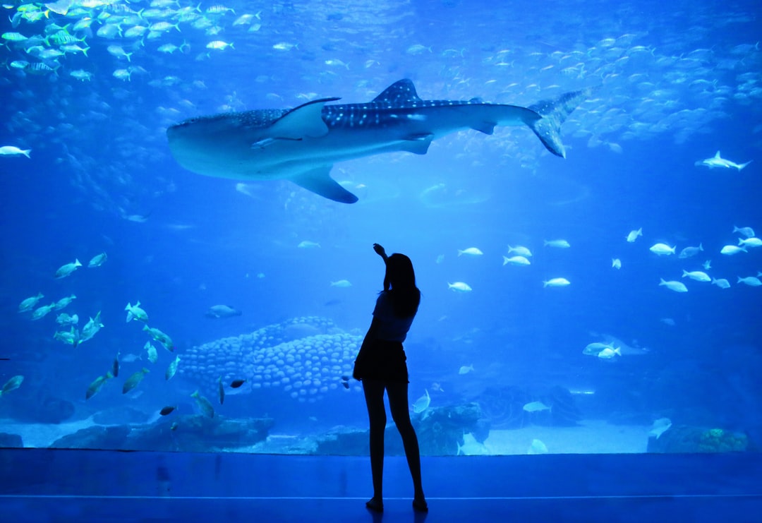 20 wichtige Fragen zu Wurm Im Aquarium