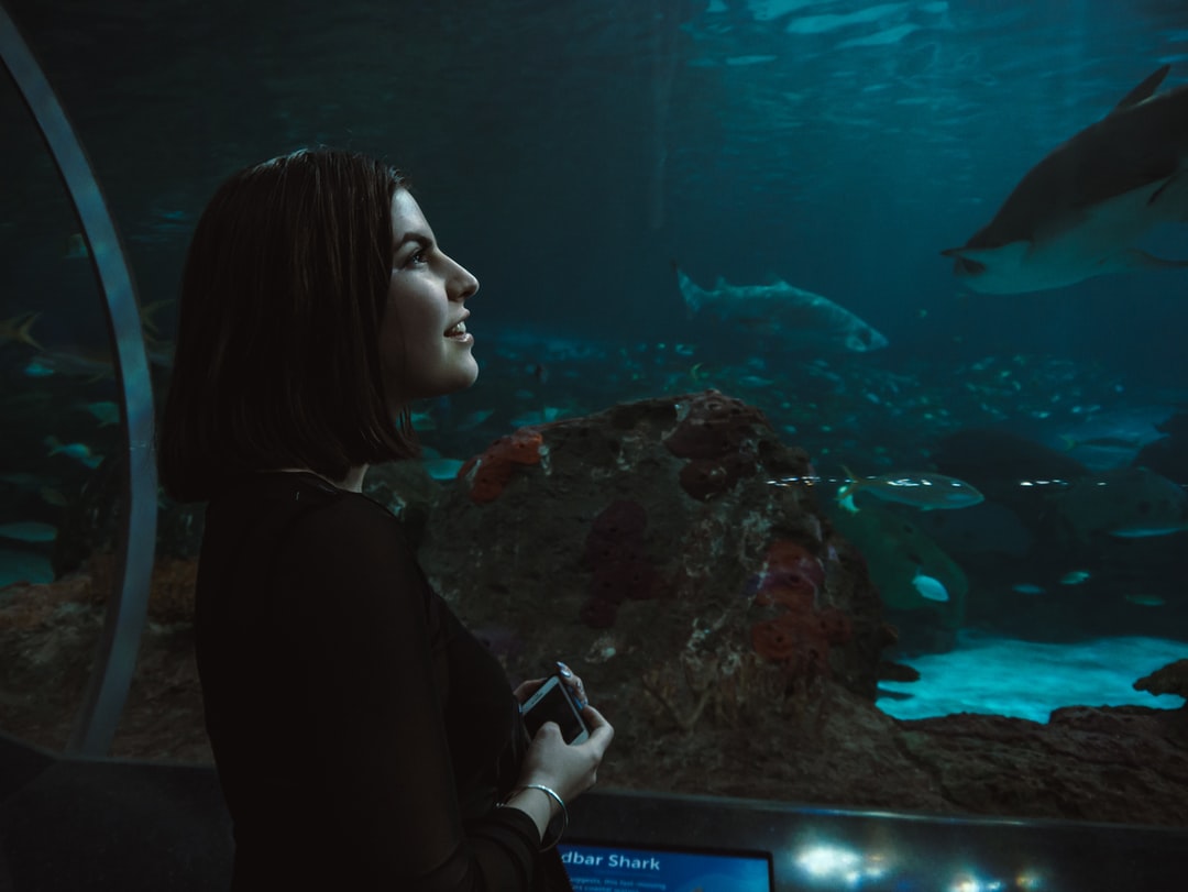 20 wichtige Fragen zu Filterbecken Aquarium