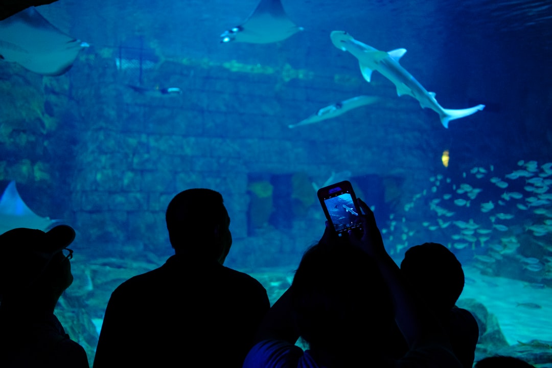 22 wichtige Fragen zu Aquarium 3000 Liter