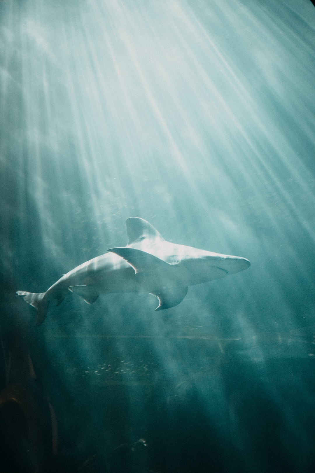 23 wichtige Fragen zu Aquarium Beleuchtung Uhrzeit