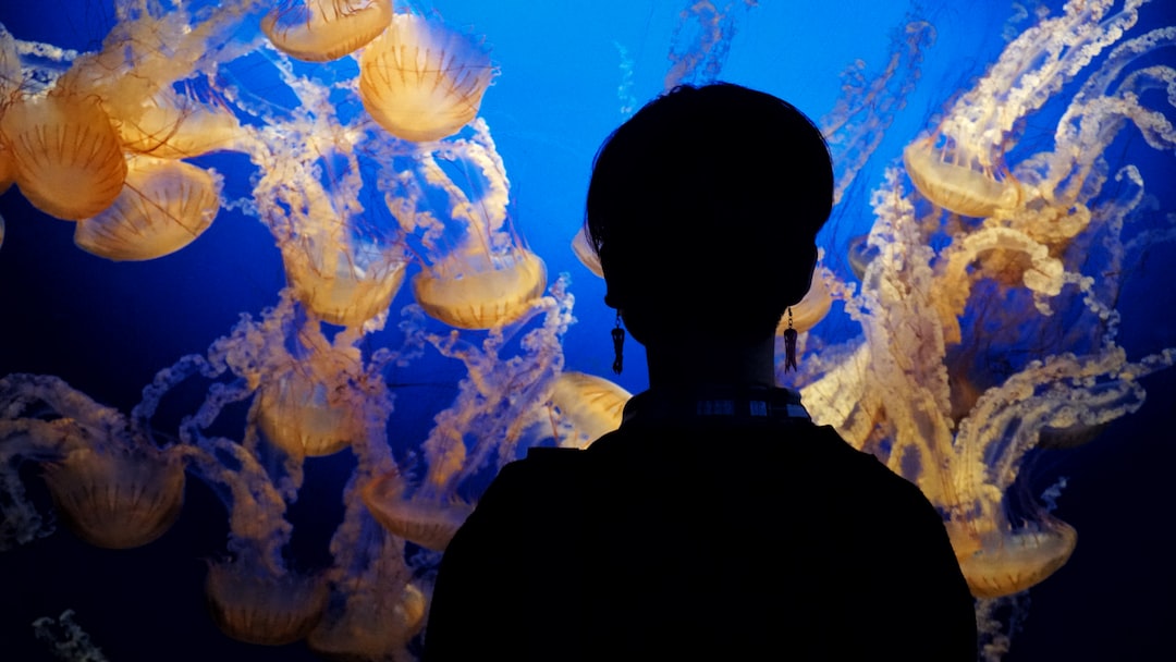 23 wichtige Fragen zu Should Aquariums Be Tempered Glass?