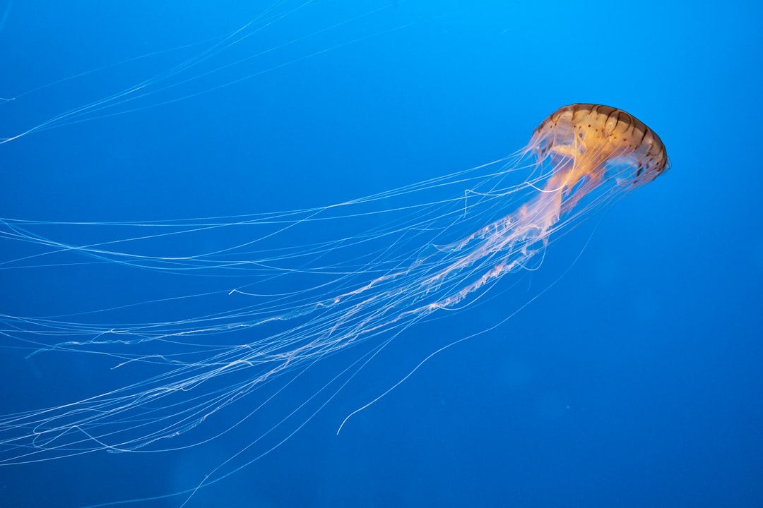 24 wichtige Fragen zu Was Passiert In Der Einfahrphase Im Aquarium?