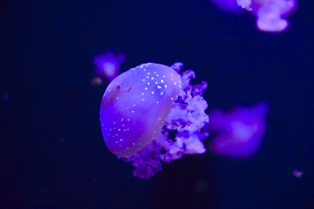 24 wichtige Fragen zu Nano Aquarium 30l Set