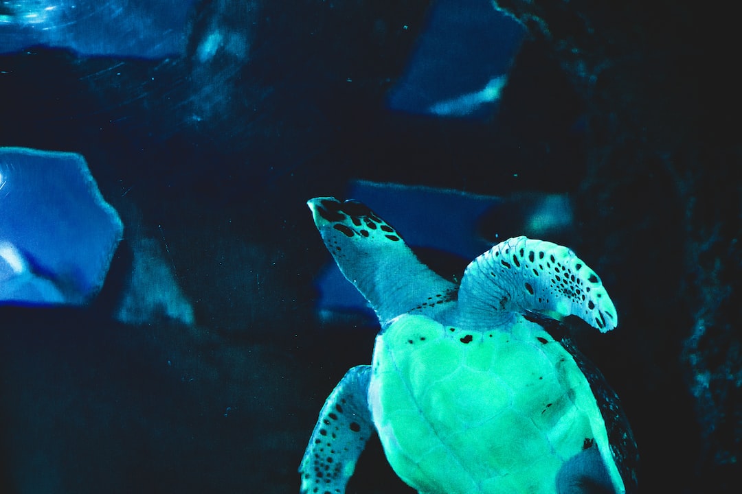 24 wichtige Fragen zu Wie Oft Eisendünger Im Aquarium?