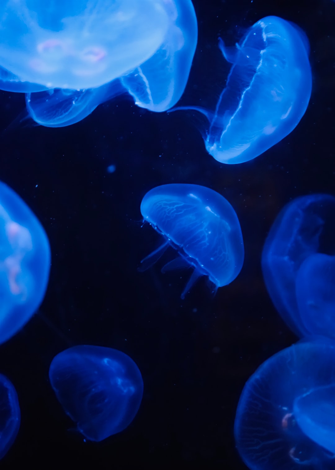 25 wichtige Fragen zu Aquarium Terrarium