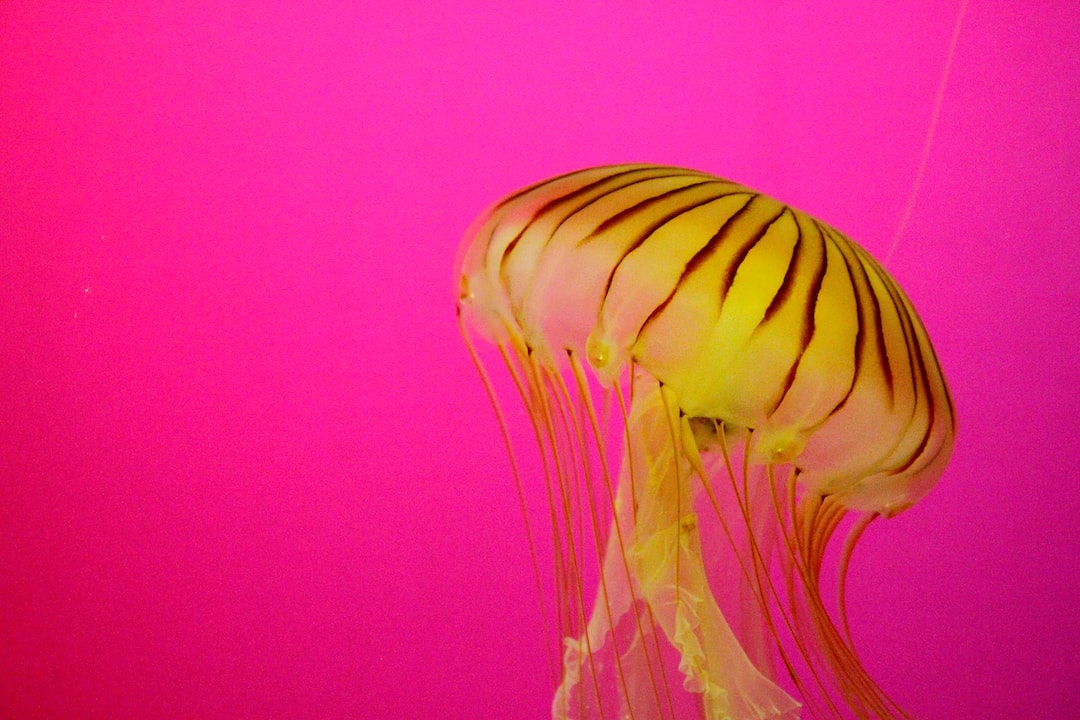 25 wichtige Fragen zu How Are Custom Aquariums Made?