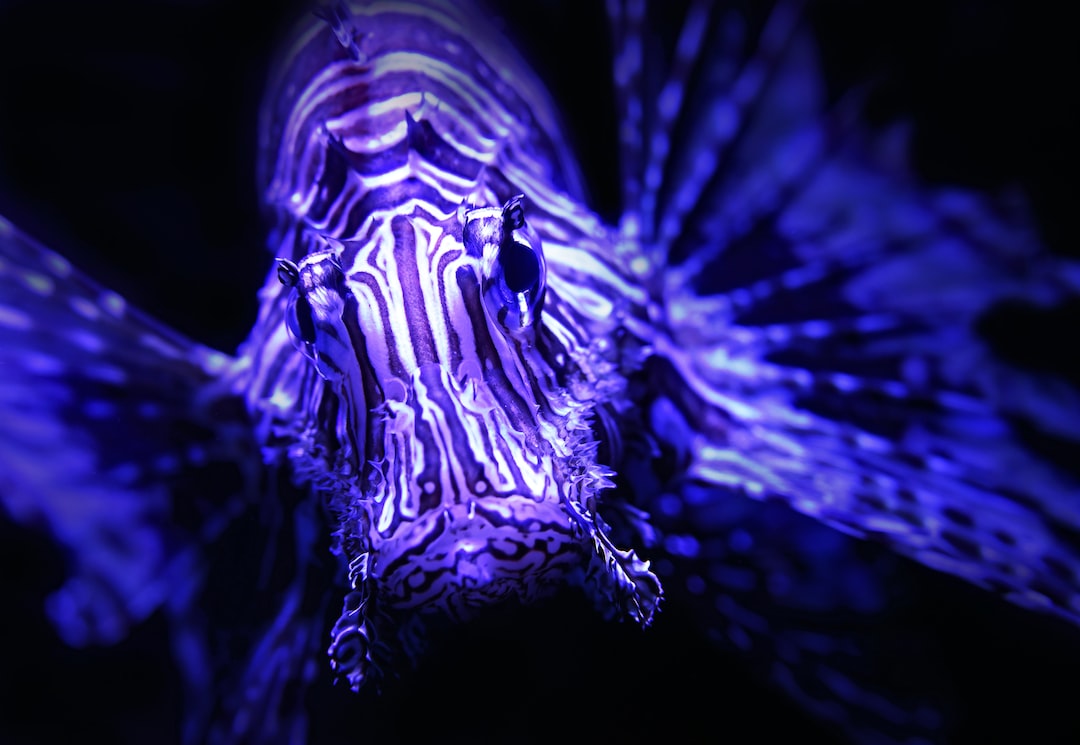 25 wichtige Fragen zu Aquarium Beleuchtung Juwel
