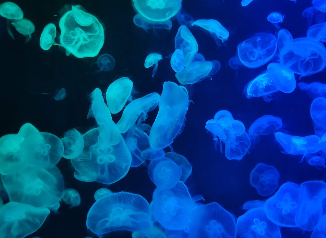 16 wichtige Fragen zu Aquarium Sandfall