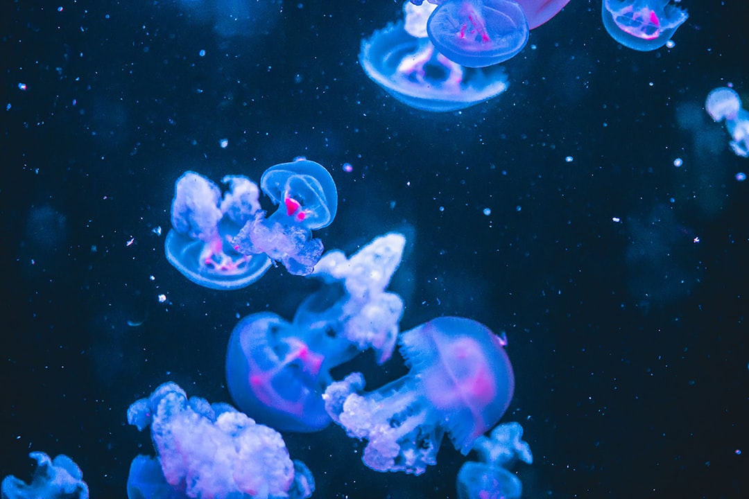17 wichtige Fragen zu Nitrit Aquarium Grenzwert
