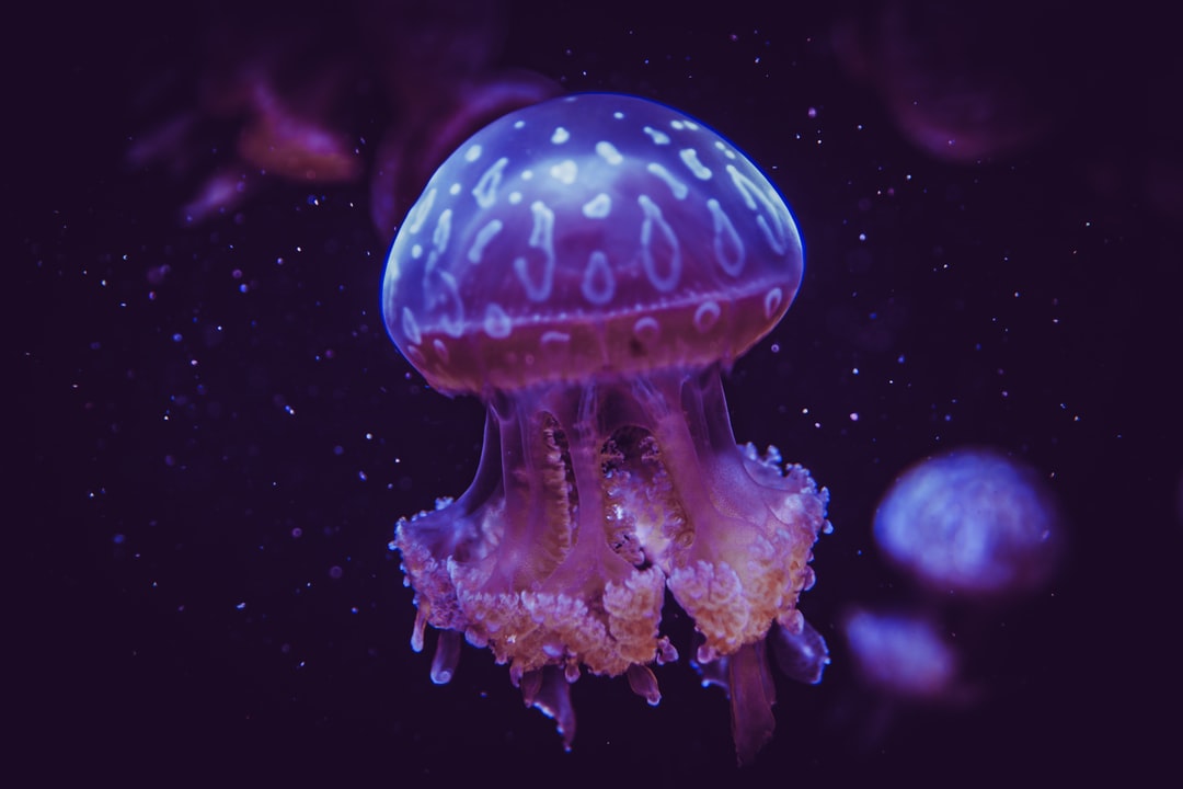 22 wichtige Fragen zu What Aquarium Background Is Best?