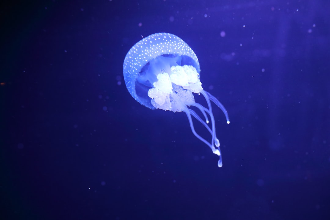 23 wichtige Fragen zu Wie Richte Ich Ein Aquarium Richtig Ein?
