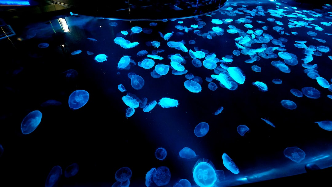 24 wichtige Fragen zu Lebermoos Aquarium