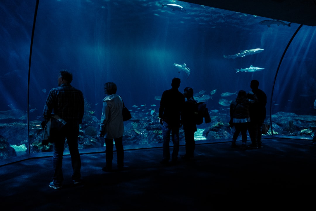 24 wichtige Fragen zu Fisch Aquarium Klein
