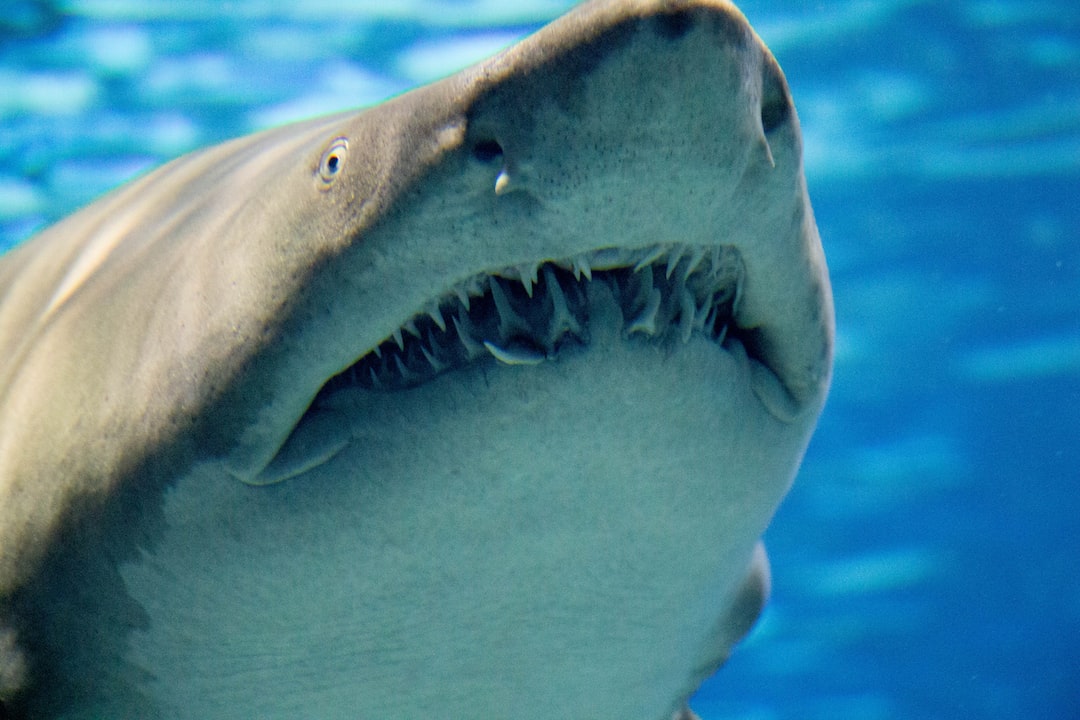 24 wichtige Fragen zu Does The Shape Of A Fish Tank Matter?