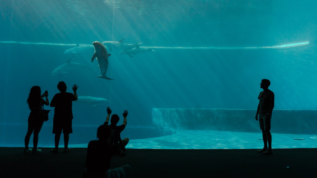 25 wichtige Fragen zu Posthornschnecke Aquarium