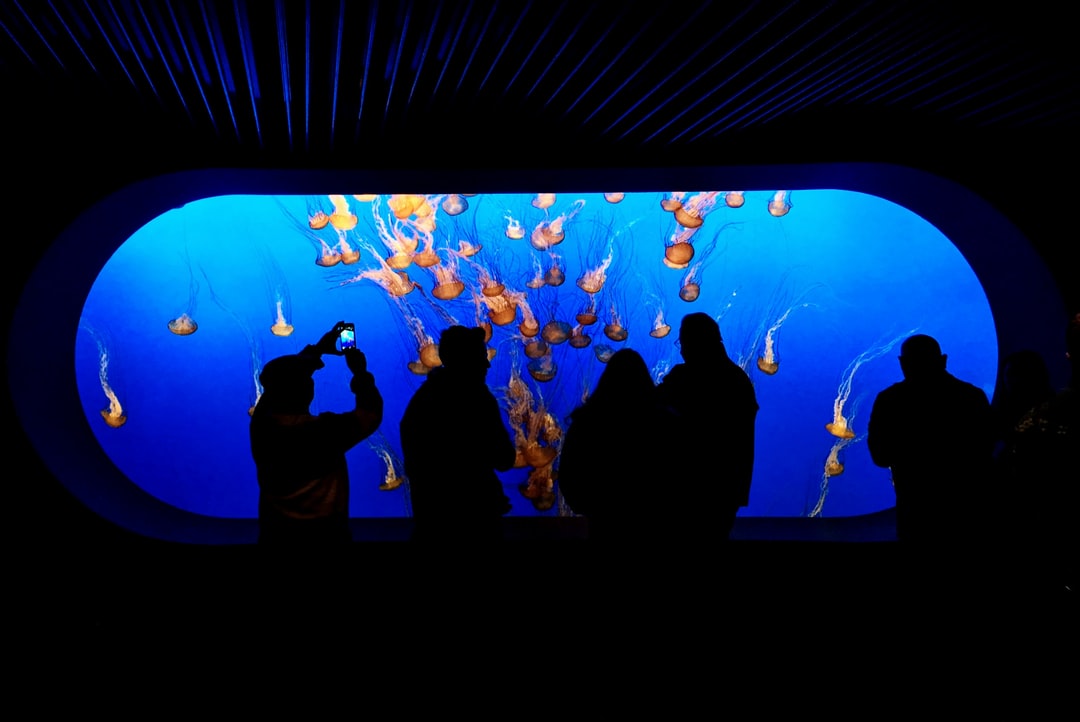 25 wichtige Fragen zu Schwarzer Kies Aquarium