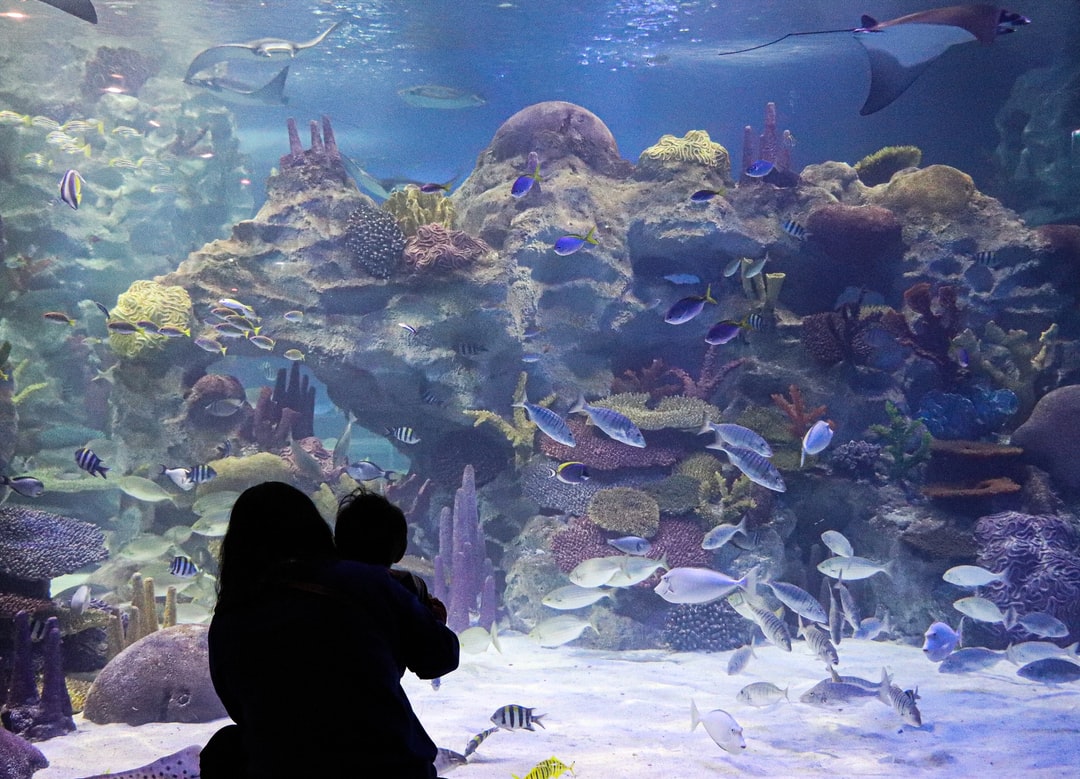 25 wichtige Fragen zu Zoo Duisburg Aquarium