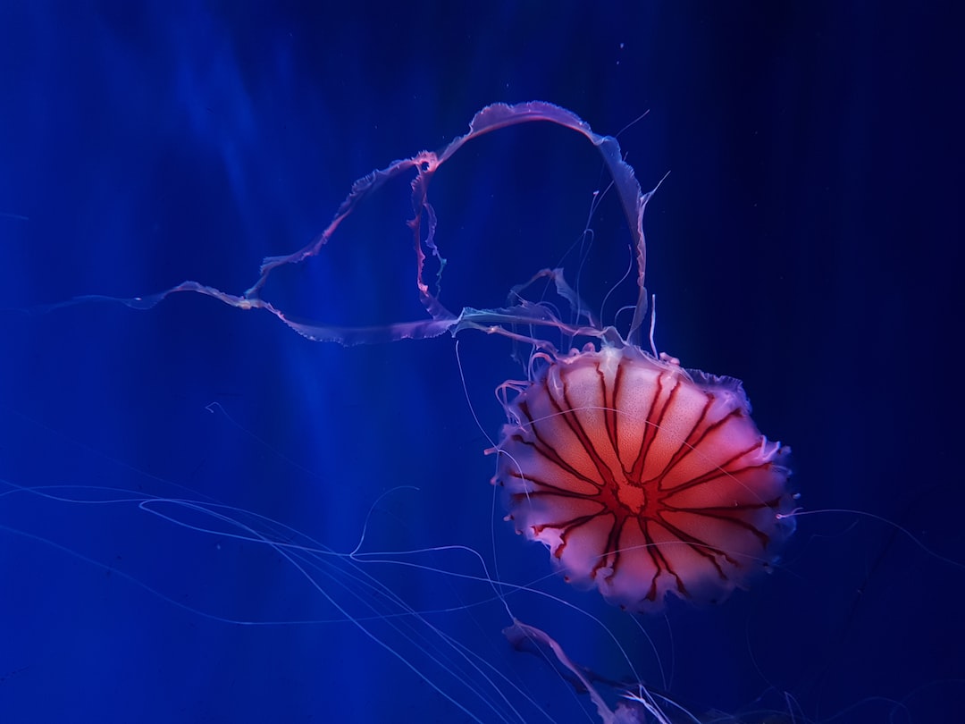 14 wichtige Fragen zu Sind Wasserlinsen Gut Fürs Aquarium?