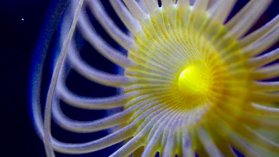 19 wichtige Fragen zu Aquarium Phosphat Senken