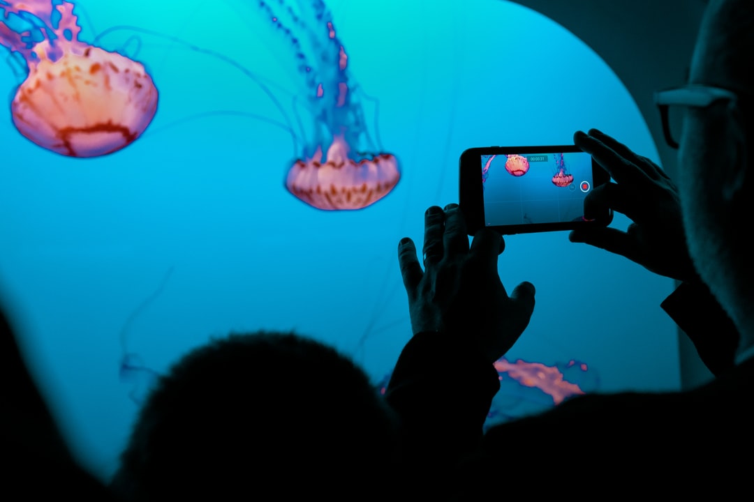 21 wichtige Fragen zu Led Licht Für Aquarium