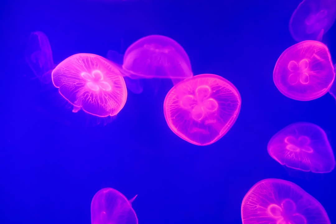 22 wichtige Fragen zu How Much Time Do You Need At Shedd Aquarium?