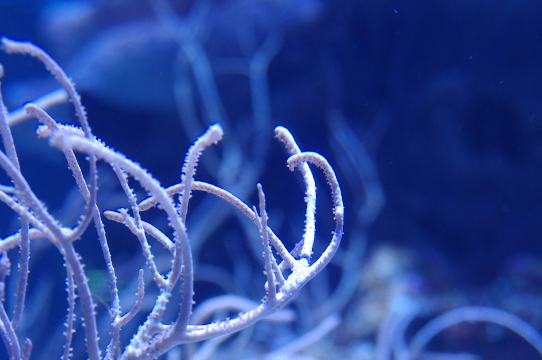 22 wichtige Fragen zu Is It Easier To Keep Tropical Or Marine Fish?
