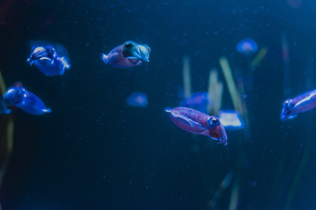 22 wichtige Fragen zu Sollte Man Ein Aquarium Belüften?
