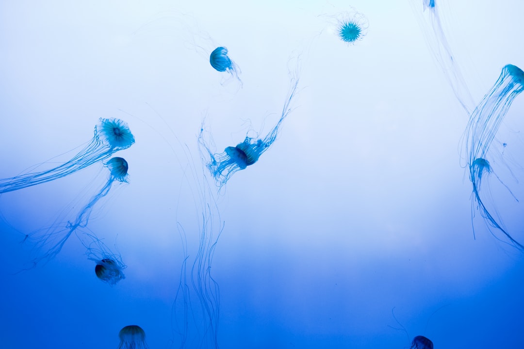 23 wichtige Fragen zu Luftheber Filter Aquarium