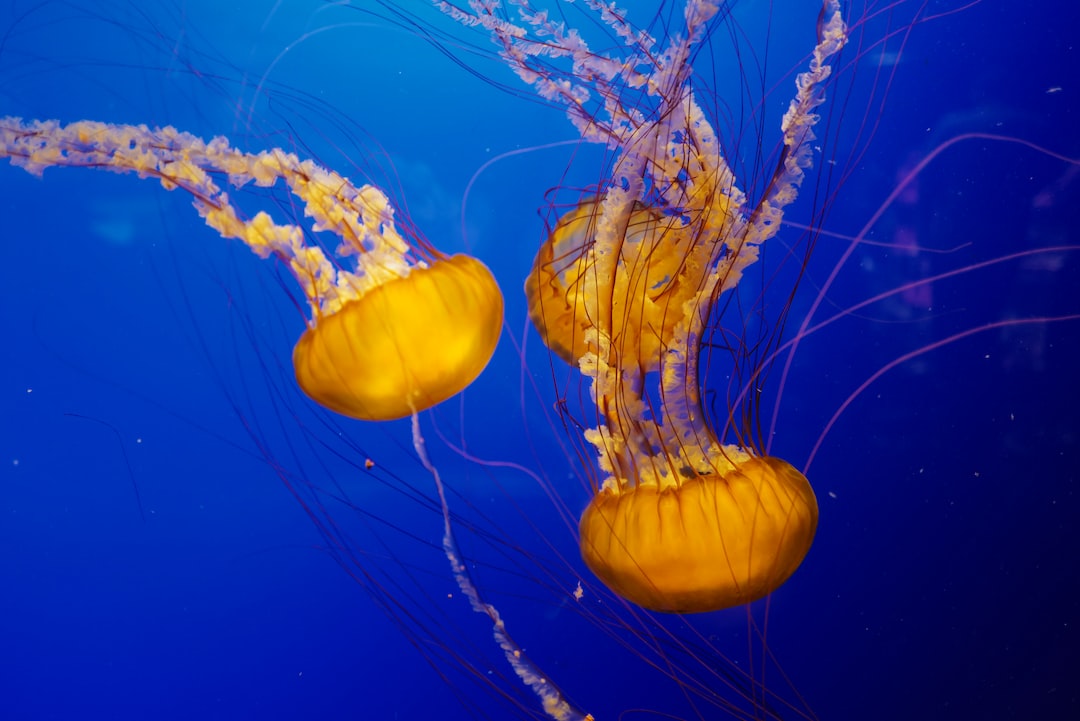 23 wichtige Fragen zu Aquarium Juwel Rio