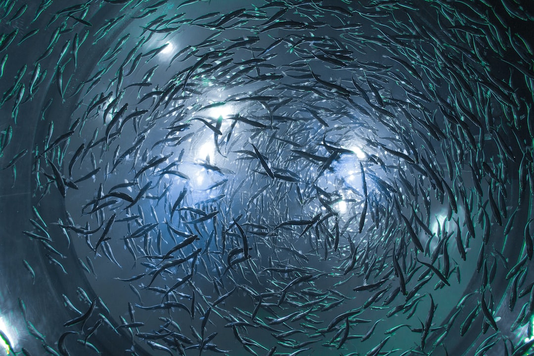 25 wichtige Fragen zu Ist Wasserstoffperoxid Schädlich Für Fische?