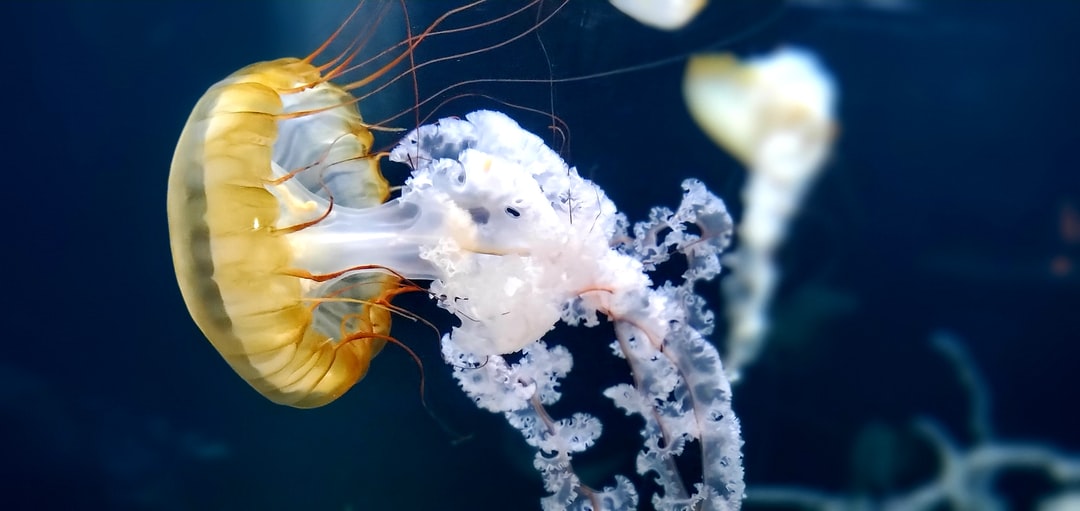 25 wichtige Fragen zu Kleine Tierchen Im Aquarium