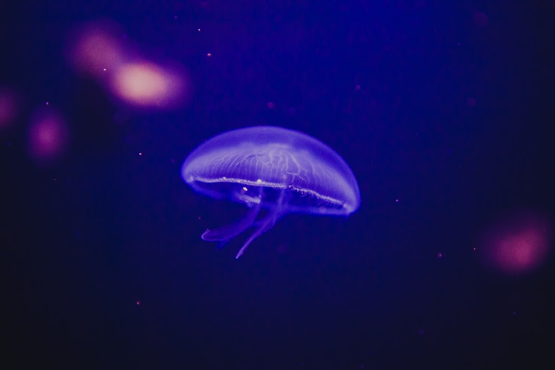 25 wichtige Fragen zu Aquarium Led Spot