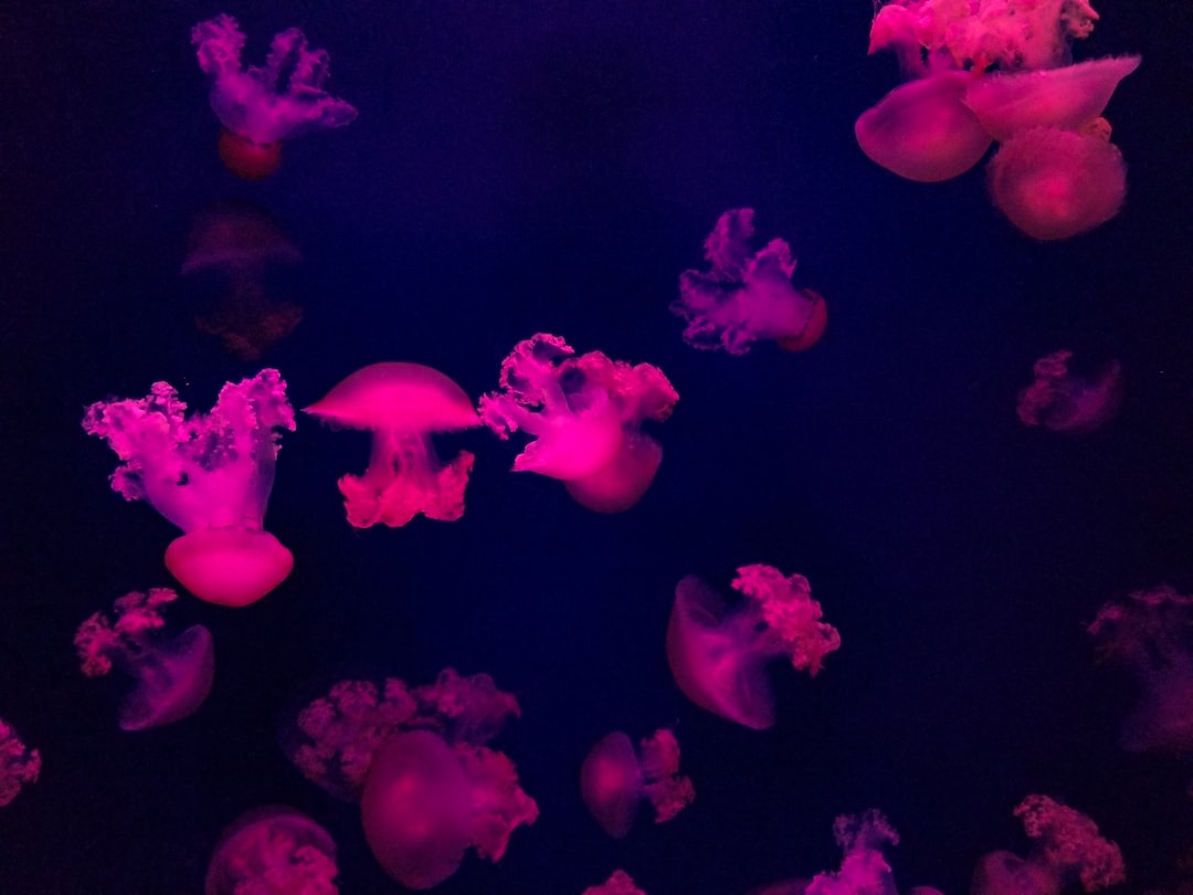 20 wichtige Fragen zu Wie Alt Wird Ein Barsch Im Aquarium?