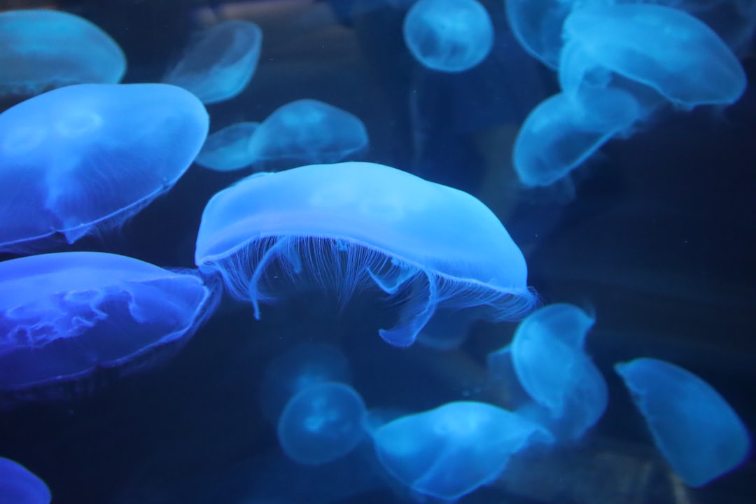 22 wichtige Fragen zu Wie Gross Ist Sea Life?