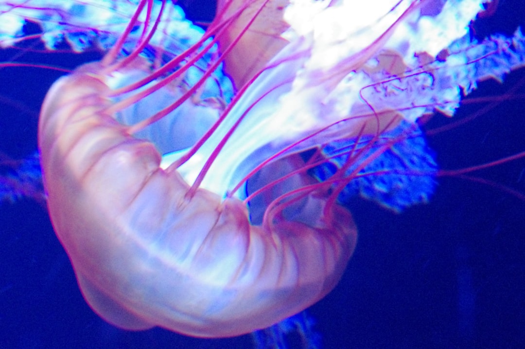 23 wichtige Fragen zu Wie Niedrig Darf Der Leitwert Im Aquarium Sein?