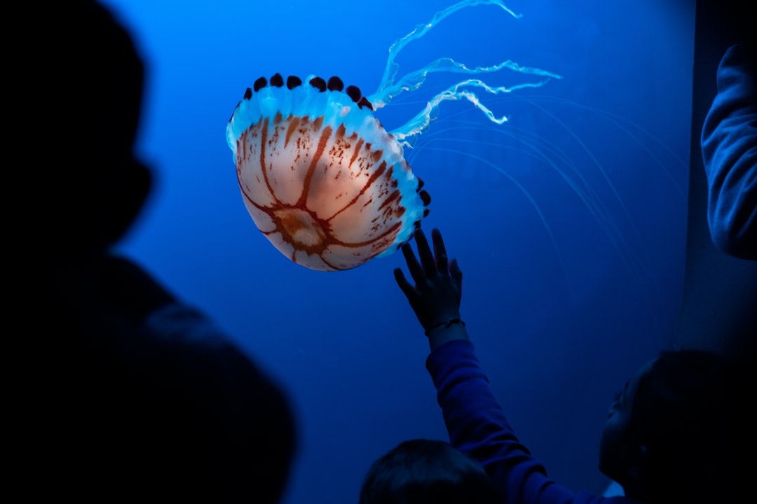 23 wichtige Fragen zu Montes Aquarium