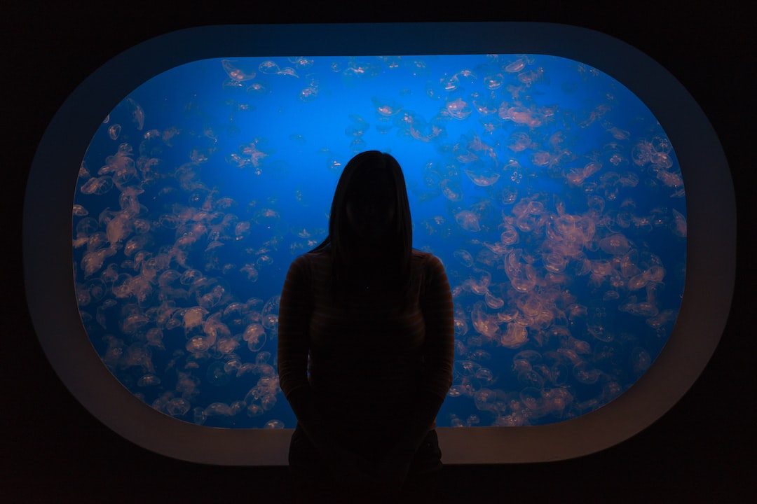 25 wichtige Fragen zu Kann Man Schnecken Direkt Ins Aquarium Setzen?