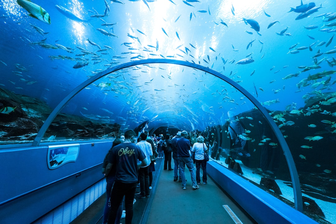 25 wichtige Fragen zu Was Kann Man Außer Fische Im Aquarium Halten?