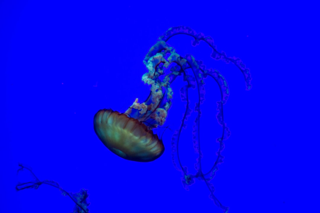 25 wichtige Fragen zu Außenfilter Für Nano Aquarium