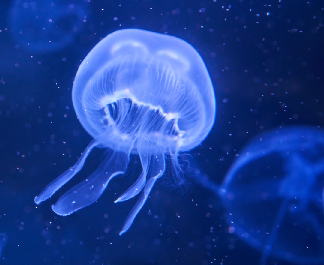 25 wichtige Fragen zu Wie Hoch Muss Der Boden Im Aquarium?
