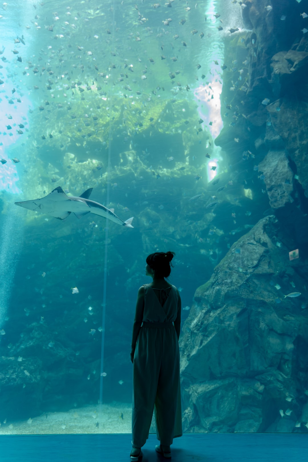 11 wichtige Fragen zu Aquarium Profis