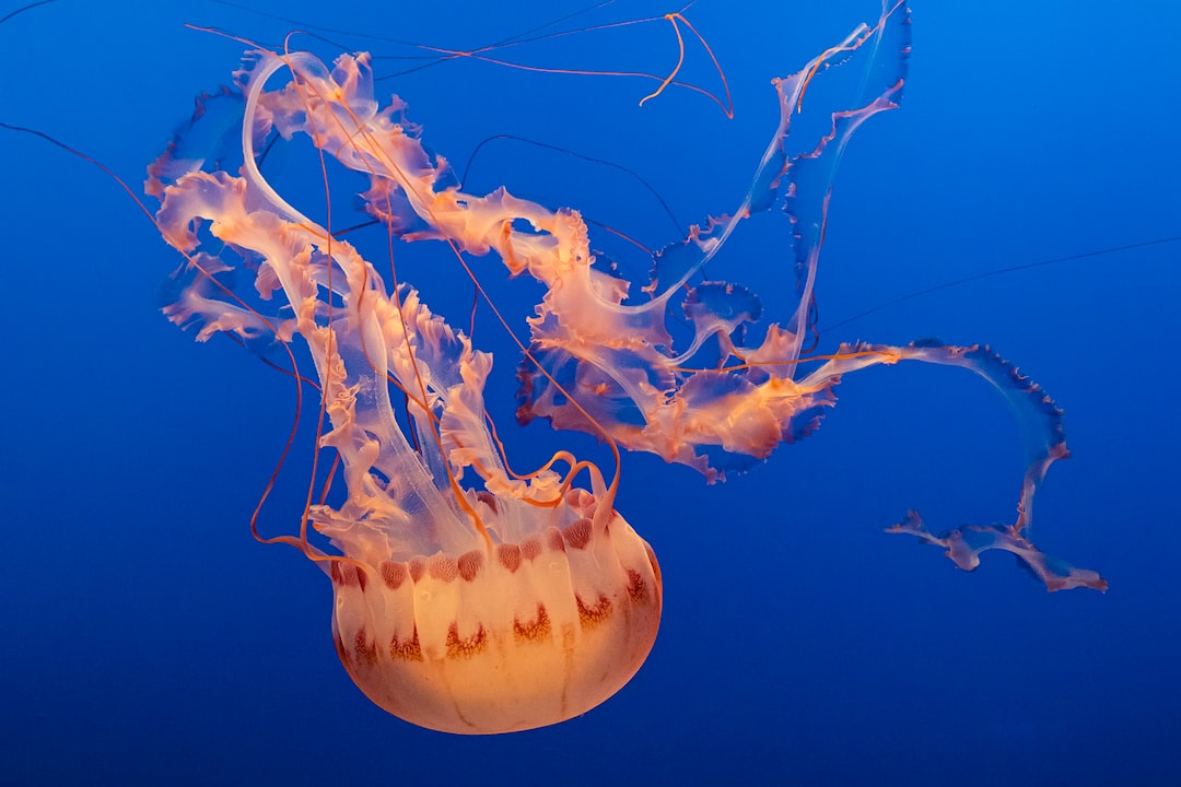 17 wichtige Fragen zu Warum Steigt Die Wasserhärte Im Aquarium?