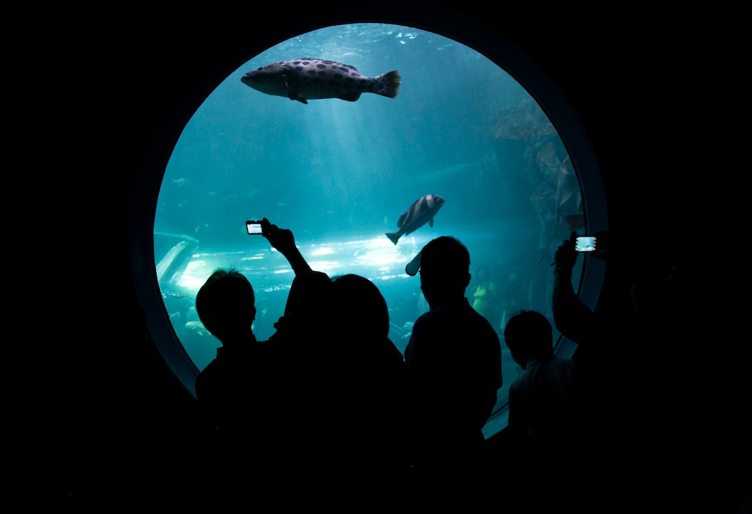 22 wichtige Fragen zu Does Florida Aquarium Have Dolphins?