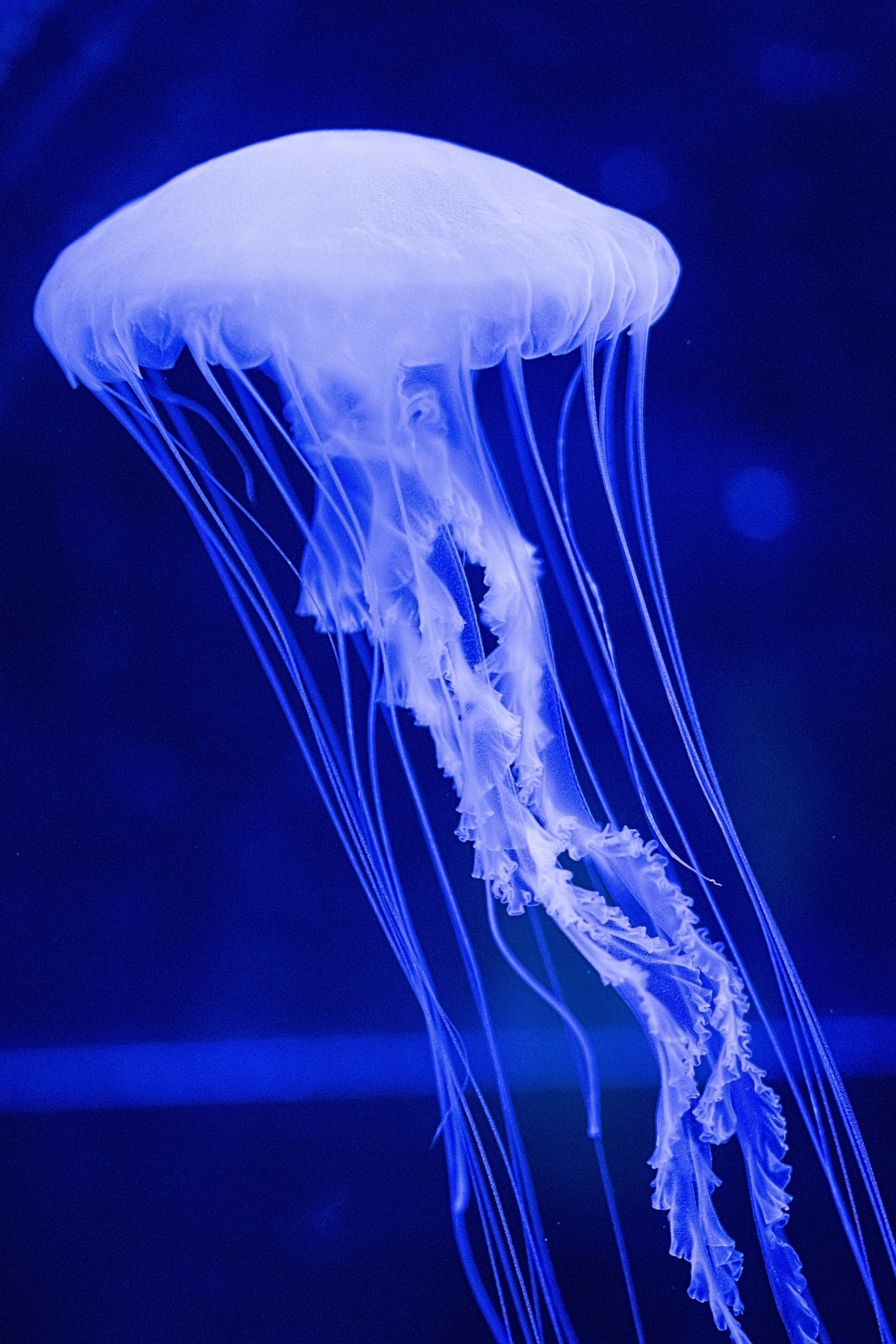 24 wichtige Fragen zu Filtermedien Aquarium