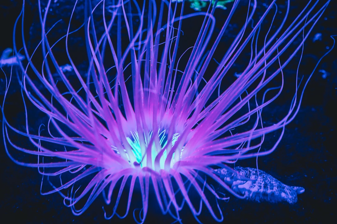 24 wichtige Fragen zu Bakterien Im Aquarium Bekämpfen
