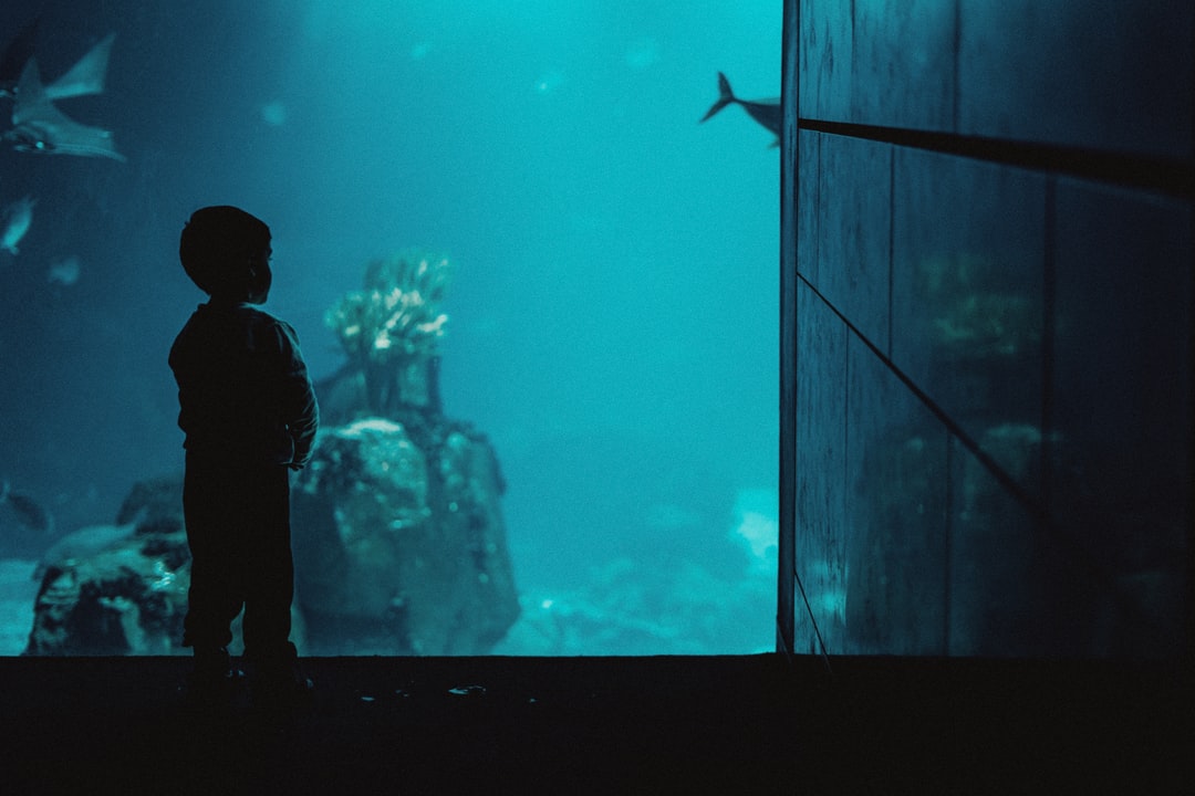 25 wichtige Fragen zu Blauer Fisch Aquarium