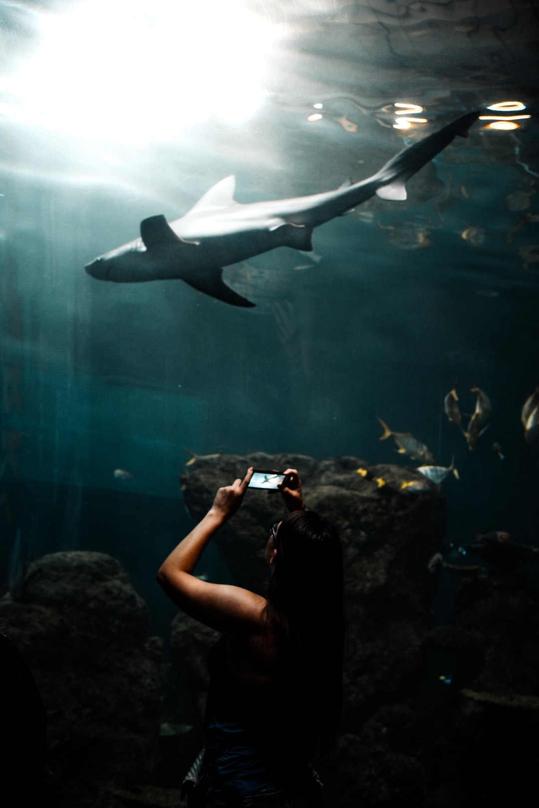 25 wichtige Fragen zu Aquarium And Zoo