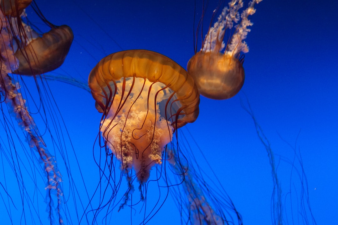 15 wichtige Fragen zu Welchen Leitwert Im Meerwasseraquarium?