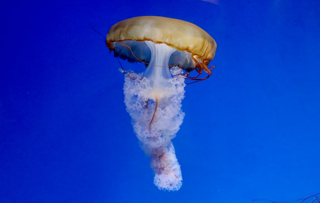 23 wichtige Fragen zu Aquarium Desinfizieren